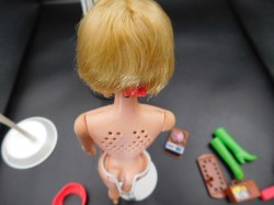 talking busy barbie nude e